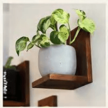Wooden Wall Shelf YSY-VTWS-013