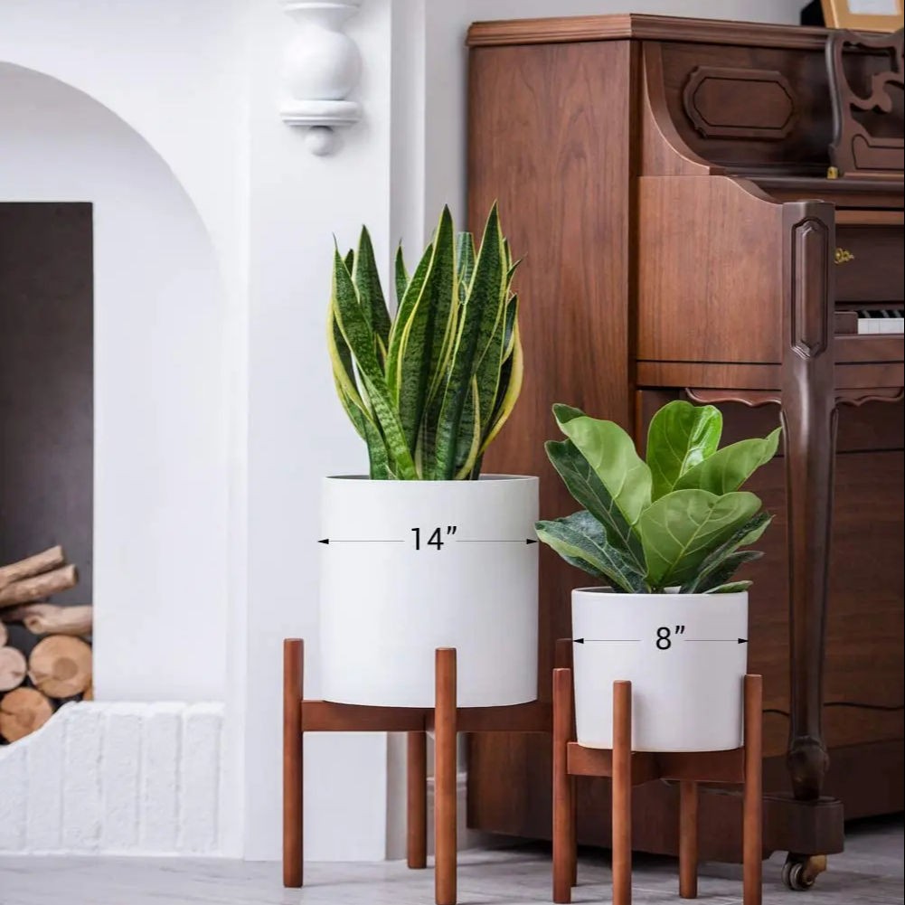 Sustainable Plant with Flower Pot