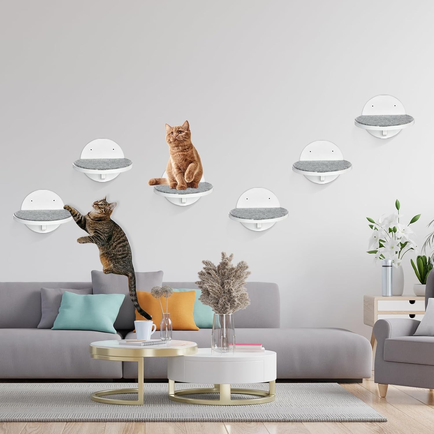 Product Cover