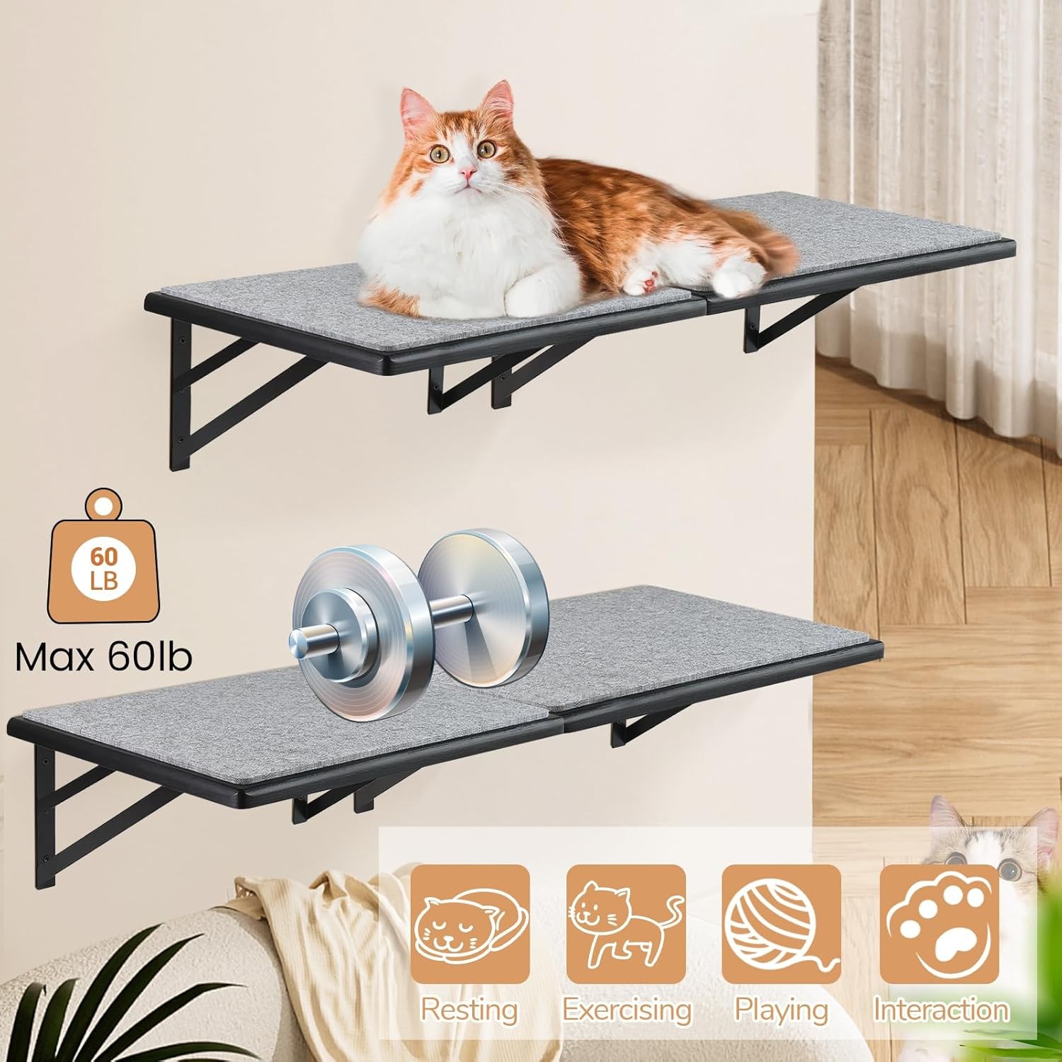 Product Cover